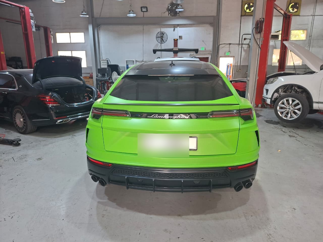 Green Lamborghini rear view in the workshop